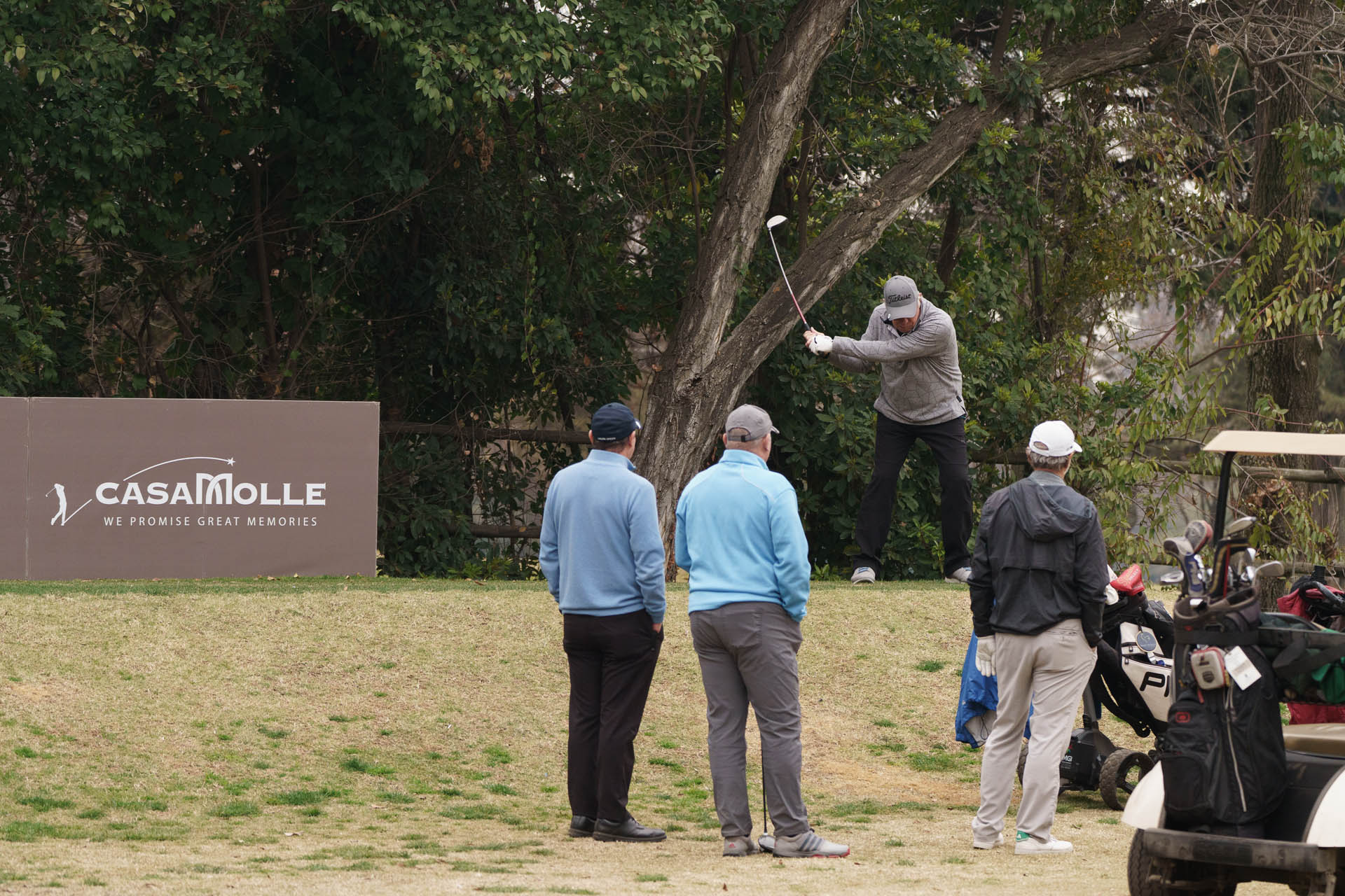 6885b577 d5bc 46a9 ba26 3392c83f600b